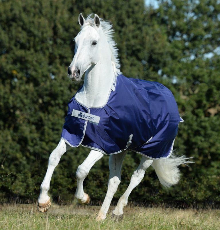Derka Bucas Atlantic Turnout 200g - Cavalo